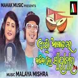 Ei Asadhare Bajiba Lo Sahanai